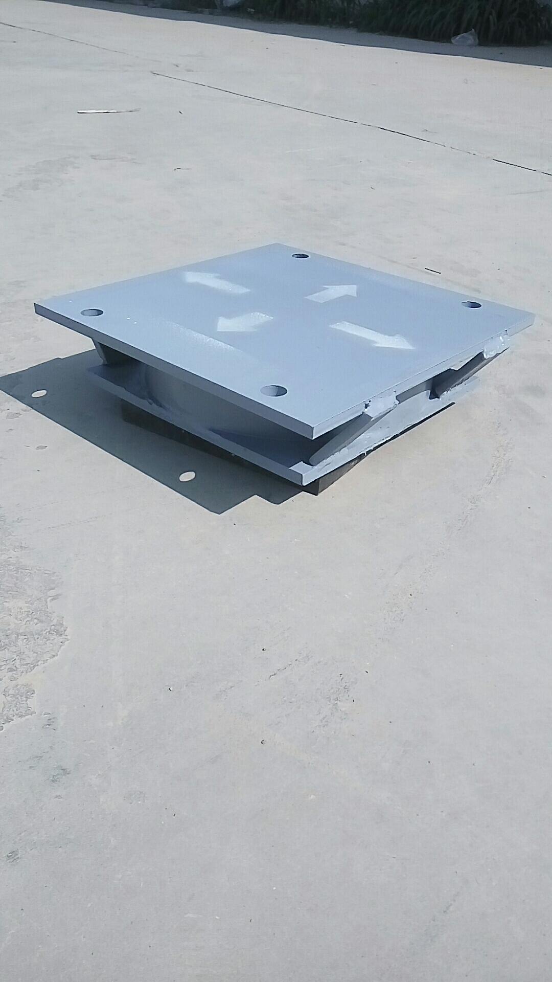 1588551747329116.jpg 2020年4月30日盆座 (41).jpg