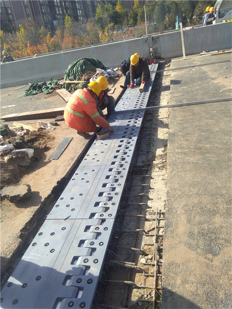 1590608079626384.jpg 2020年5月5日梳齒板 (56).jpg